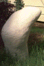 click for picture